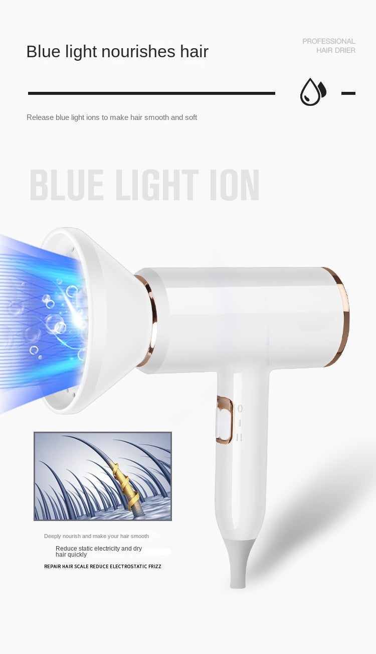 Hair Dryer 1500W Professional Hair dryer Powerful AC motor fast drying ion hair dryer, 2 speed 3 heat Settings, cooling shot button, 1 diffuser and 2 concentrator for multi-female and male hairstyles