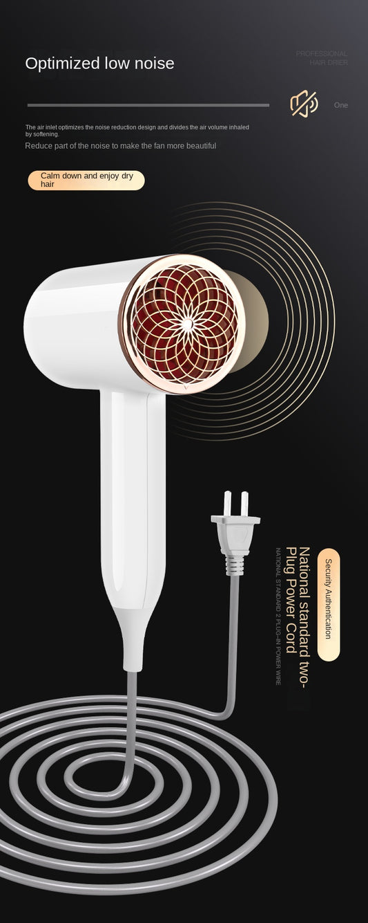 Hair Dryer 1500W Professional Hair dryer Powerful AC motor fast drying ion hair dryer, 2 speed 3 heat Settings, cooling shot button, 1 diffuser and 2 concentrator for multi-female and male hairstyles