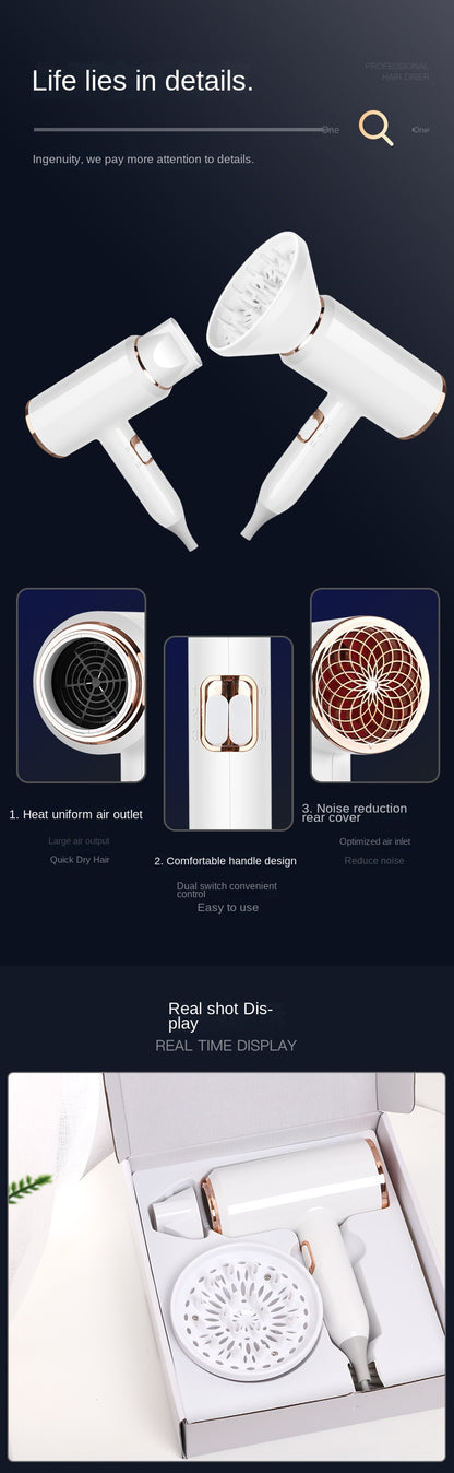 Hair Dryer 1500W Professional Hair dryer Powerful AC motor fast drying ion hair dryer, 2 speed 3 heat Settings, cooling shot button, 1 diffuser and 2 concentrator for multi-female and male hairstyles